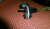 P1010297.JPG